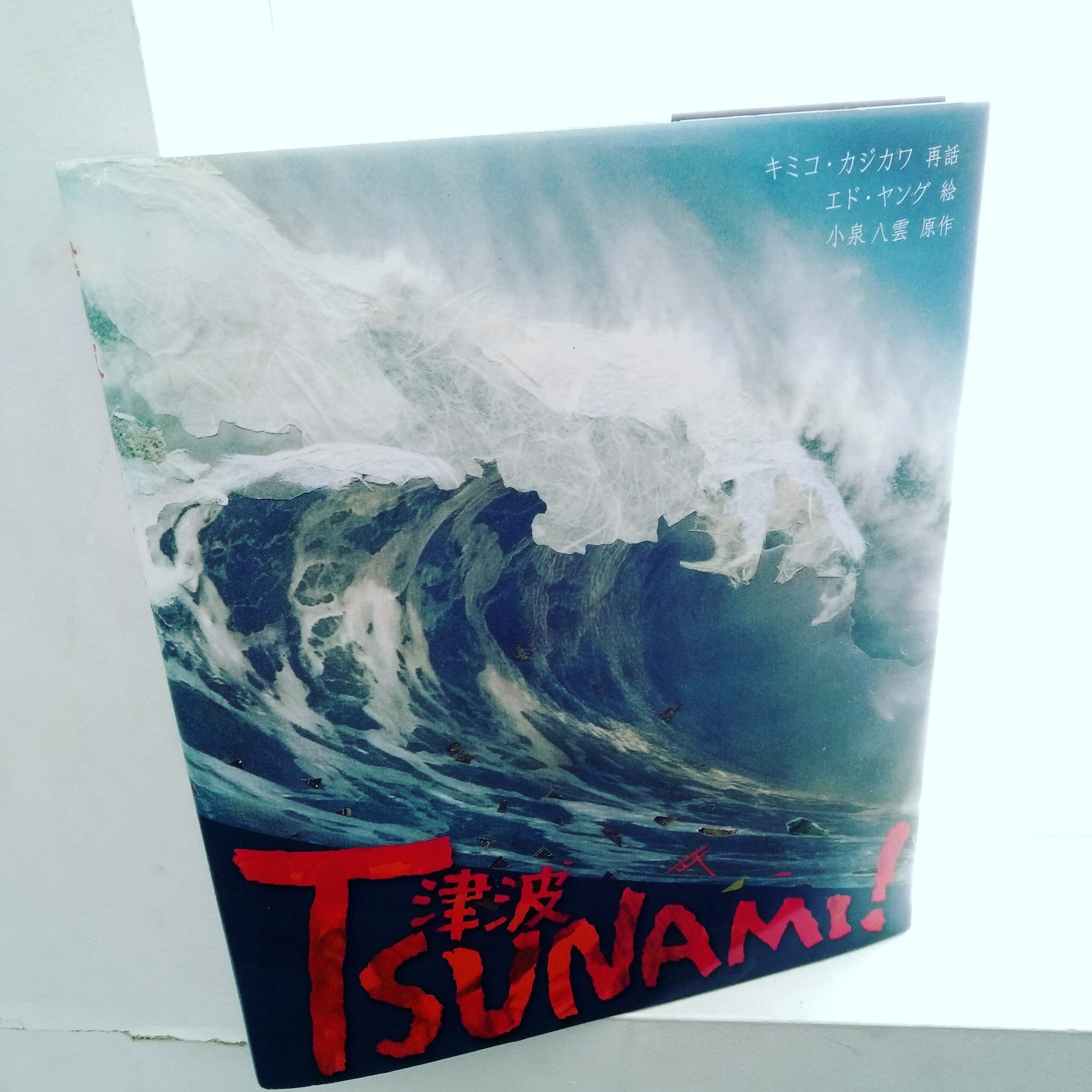 [高学年向け読み聞かせの絵本] TSUNAMI